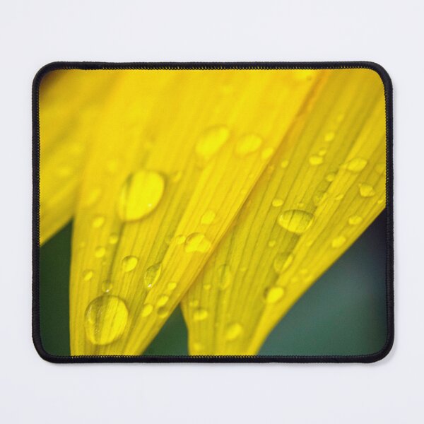 Item preview, Fresh rain on a Sun Flower designed and sold by ValueEveryThing.