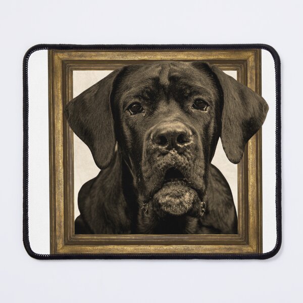 Item preview, cane corso puppy in vintage frame designed and sold by Pride-Casuals.
