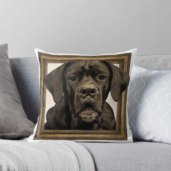Item preview, cane corso puppy in vintage frame designed and sold by Pride-Casuals.