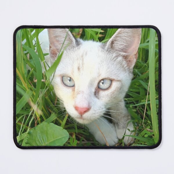 Item preview, Biscuit the Kitten: Hunting in the Grass designed and sold by TheVoid137.