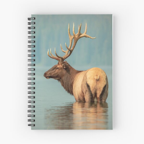 Item preview, Feeling Reflective With A Mighty Elk designed and sold by MelBolin.