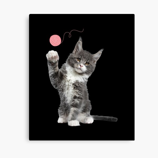 Cat Reaction Canvas Prints for Sale