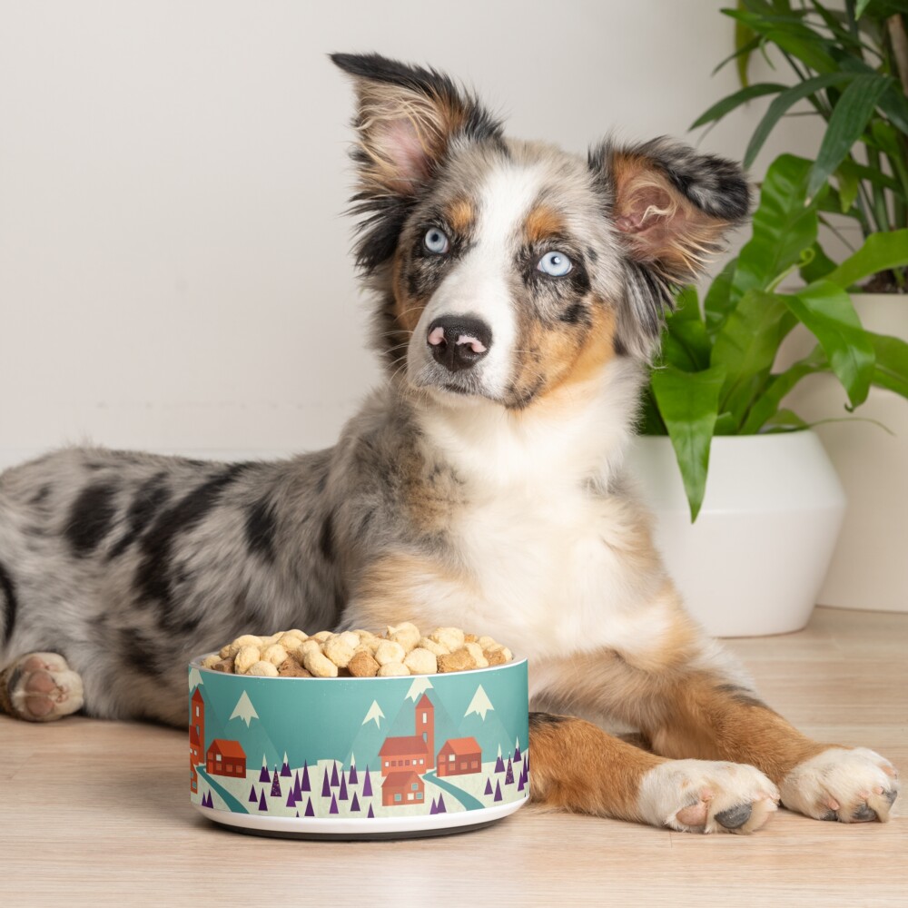 Village Pet Bowl