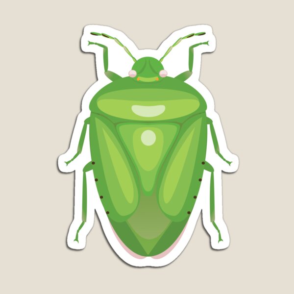 Stinkbug Magnet