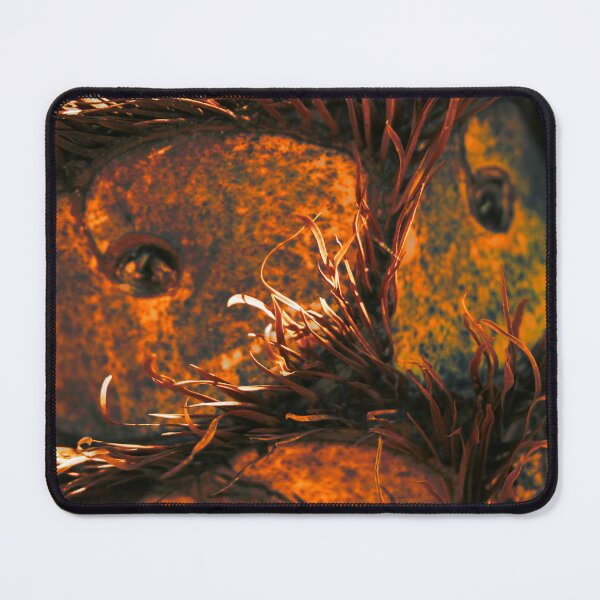 Item preview, Orange Owly's Sister DPG170710c designed and sold by CSteenArt.