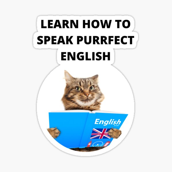 learn-how-to-speak-purrfect-english-funny-teacher-meme-funny