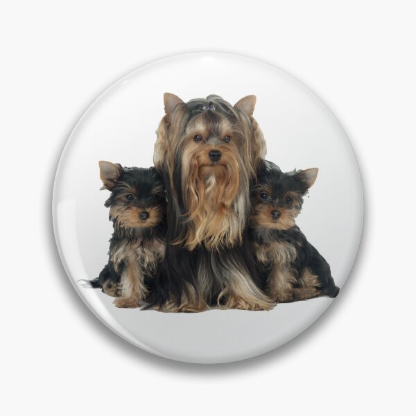 Item preview, Yorkie with Puppies, long haired designed and sold by ScienceSource.