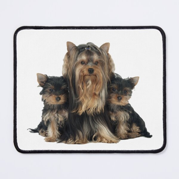 Item preview, Yorkie with Puppies, long haired designed and sold by ScienceSource.