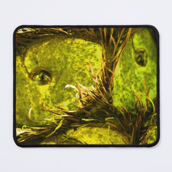 Item preview, Electric Owly's Sister DPG170710b designed and sold by CSteenArt.