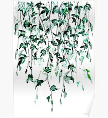 Ivy on the wall Poster