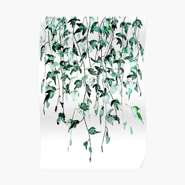 Lierre sur le mur aquarelle Poster