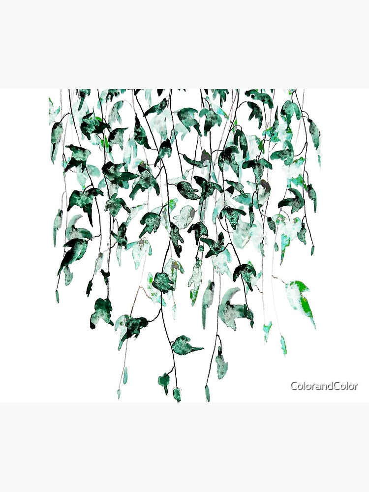 Ivy on the wall watercolor by ColorandColor