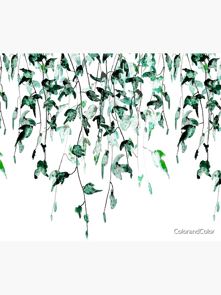 Ivy on the wall watercolor by ColorandColor