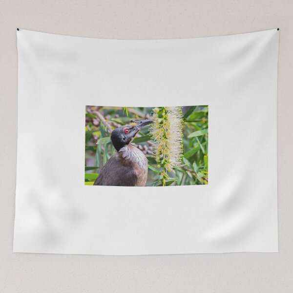 Item preview, Noisy Friarbird designed and sold by bidkev1.