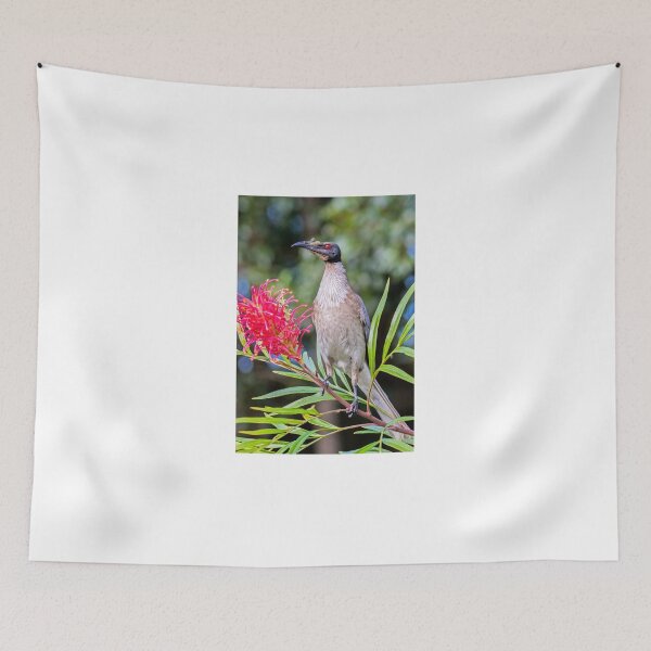 Item preview, Noisy Friarbird designed and sold by bidkev1.