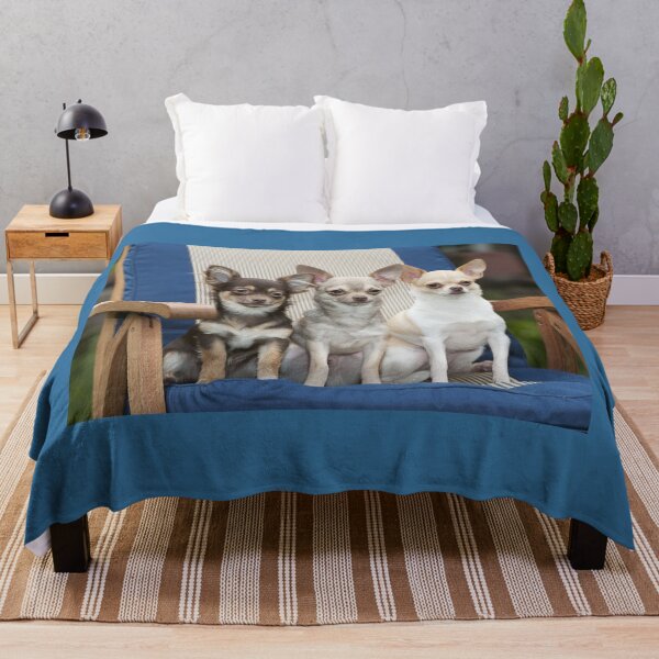 Item preview, Three Chihuahua Dogs Sitting on a Chair designed and sold by ScienceSource.