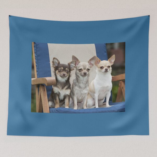 Item preview, Three Chihuahua Dogs Sitting on a Chair designed and sold by ScienceSource.