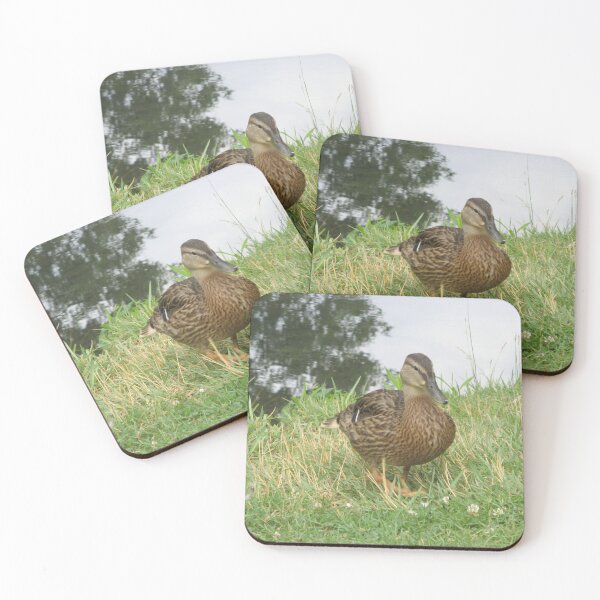 Item preview, Female Mallard Duck designed and sold by ValeriesGallery.
