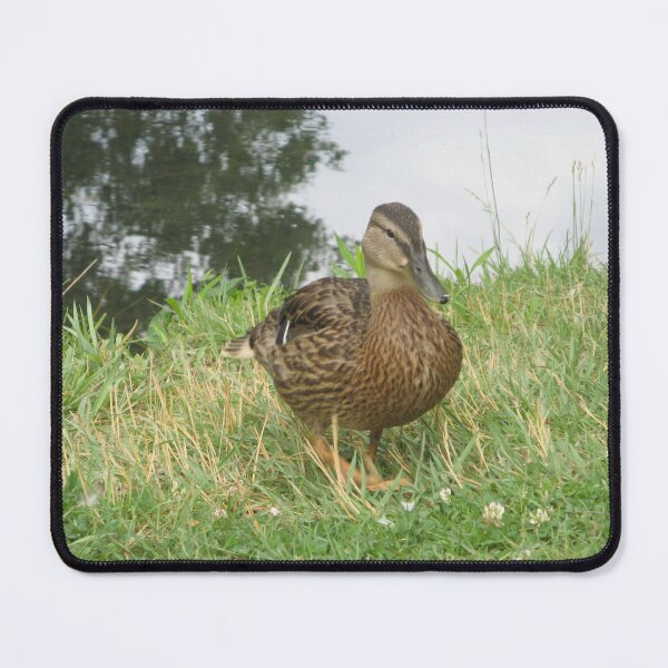 Item preview, Female Mallard Duck designed and sold by ValeriesGallery.