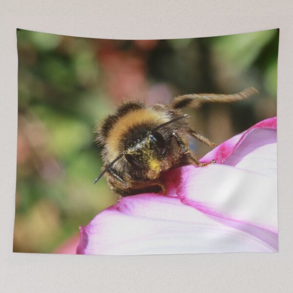 Item preview, Hello Everyone !! designed and sold by AnnDixon.