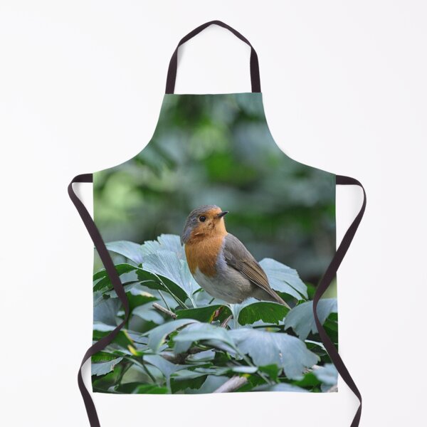 Item preview, Robin red breast designed and sold by Declan Carr.