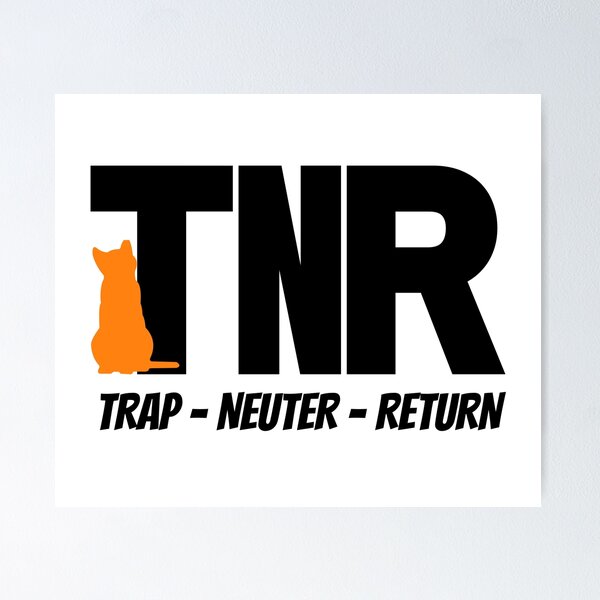 Trap Neuter Return with Orange Cat Poster