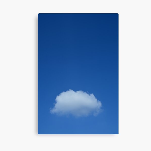 Oneness Canvas Print