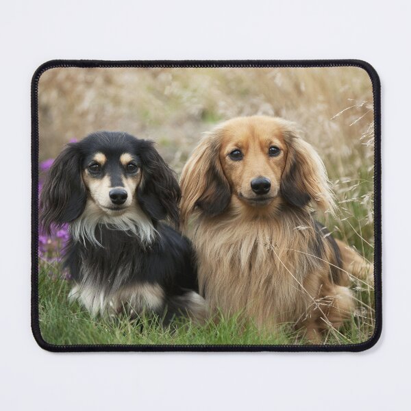 Item preview, Two Dachshunds in the Grass designed and sold by ScienceSource.