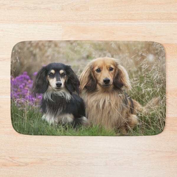 Item preview, Two Dachshunds in the Grass designed and sold by ScienceSource.