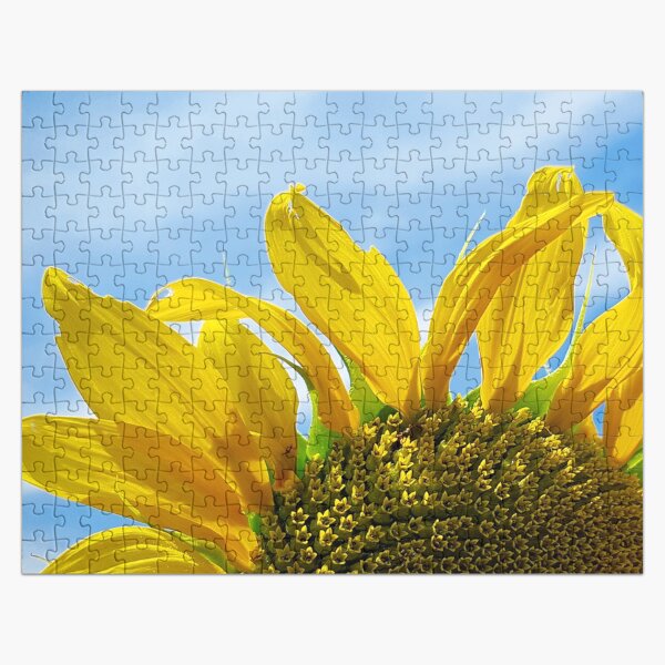 Artikel-Vorschau von Spielerisches gelbes Sonnenblumen-hoch entwickeltes Kunst-Foto, designt und verkauft von DEC02.