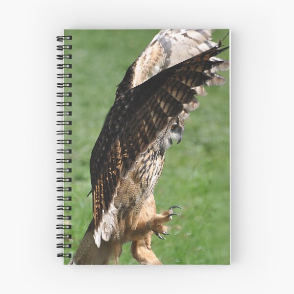 Item preview, European eagle owl designed and sold by Declan Carr.