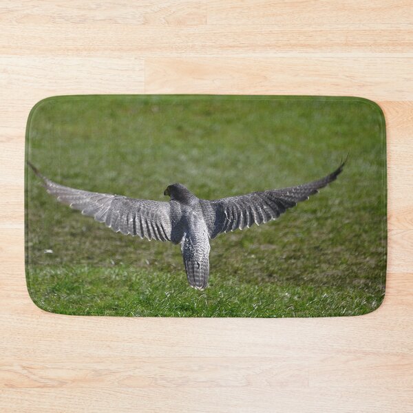 Item preview, A Peregrine's wingspan designed and sold by Declan Carr.