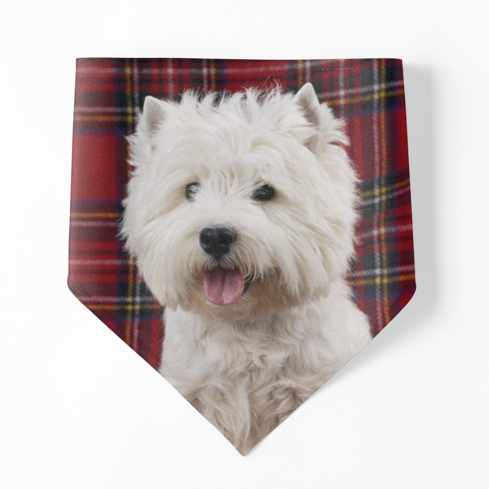 West Highland White Terrier on a Scotch Plaid Coffee Mug Mixer Mug