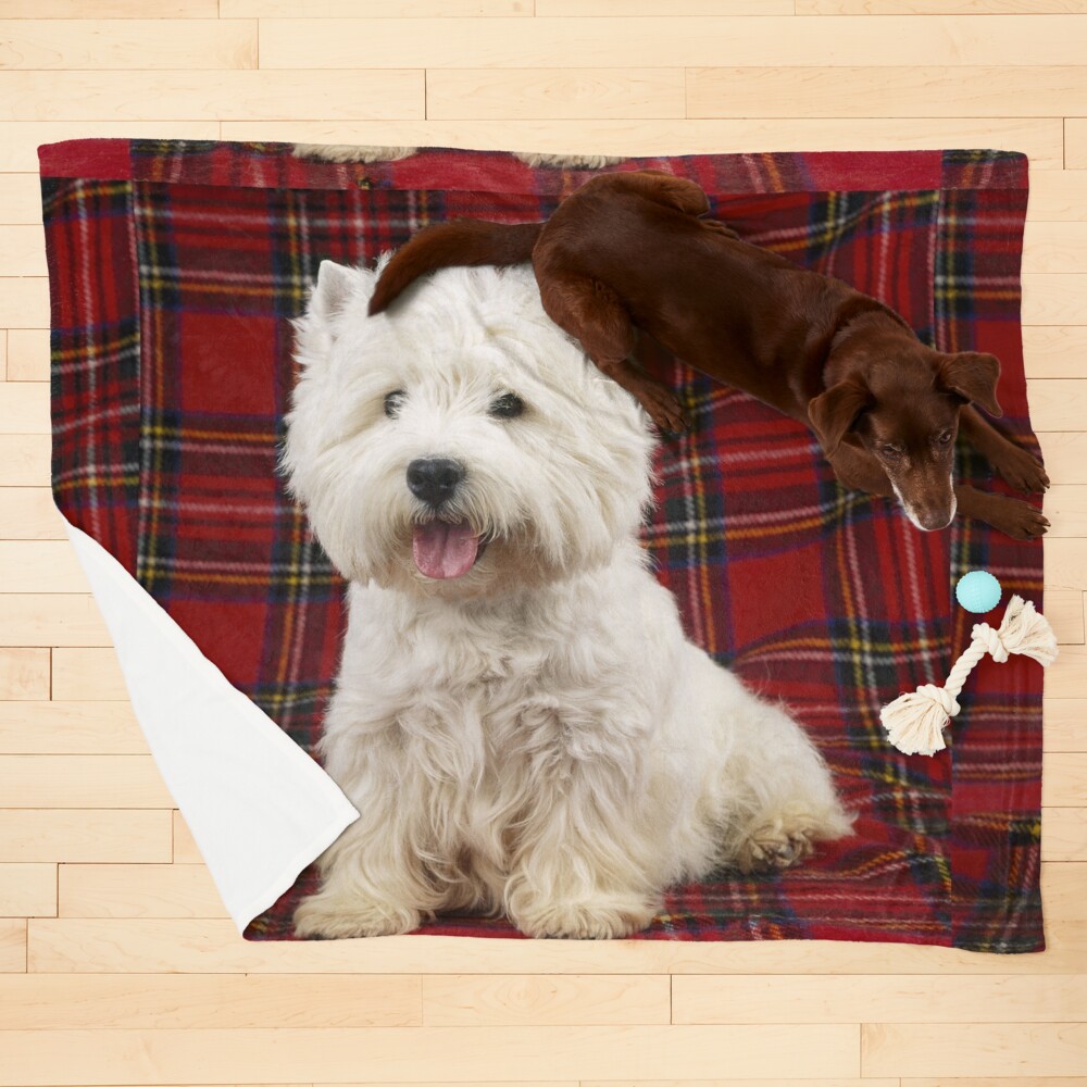 Westie blankets sale