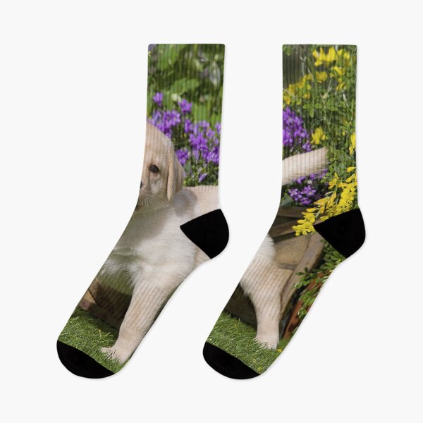 Item preview, Golden Retriever Puppy on Grass designed and sold by ScienceSource.
