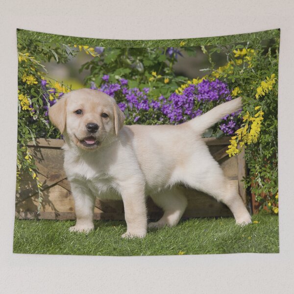 Item preview, Golden Retriever Puppy on Grass designed and sold by ScienceSource.