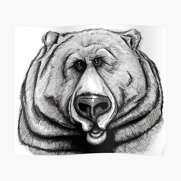 Hand drawn doodle sketch grizzly bear Royalty Free Vector