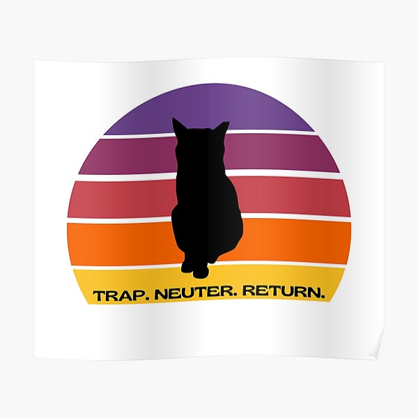 TNR Cat in a Sunset Poster