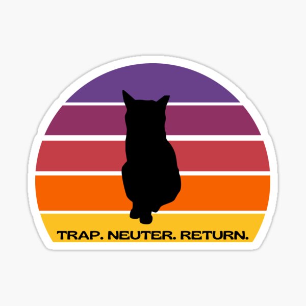 TNR Cat in a Sunset Sticker