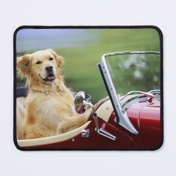 Item preview, Golden Retriever Driving a Car designed and sold by ScienceSource.