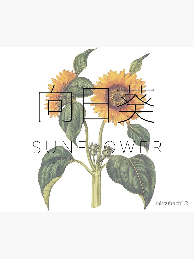 Postal «Colección Hana 'HIMAWARI' - Girasol» de mitsubachi13 | Redbubble