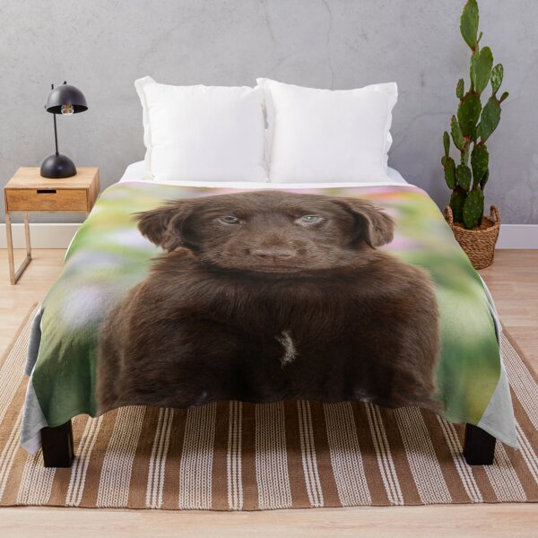 Item preview, Chocolate Labrador Retriever Puppy designed and sold by ScienceSource.