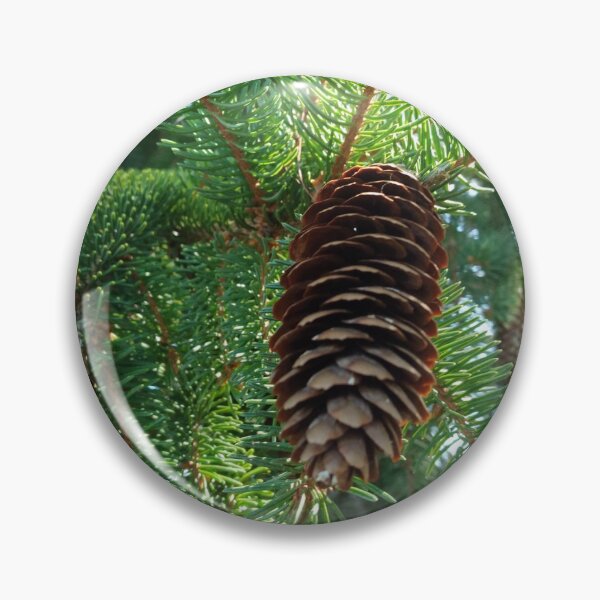 Item preview, Pine 2 designed and sold by undermae.