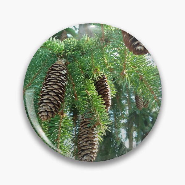 Item preview, Pine 3 designed and sold by undermae.