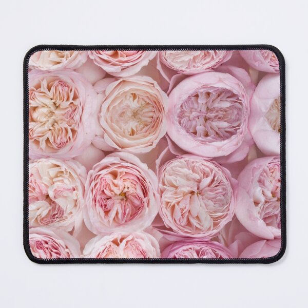 Artikelvorschau, Reihen von Pfingstrosen, rosa Pfingstrosen, Pfingstrose, rosa Blumen, Blumen, Blumenmuster, Pfingstrosenrosa entworfen und verkauft von Clancy Rodgers.
