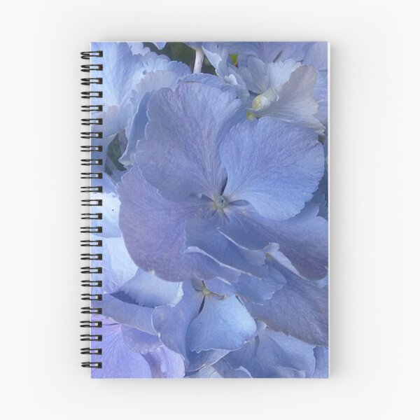 Item preview, Beautiful Blue Hydrangea Bacchus Marsh Florist, Vic. designed and sold by EdsMum.