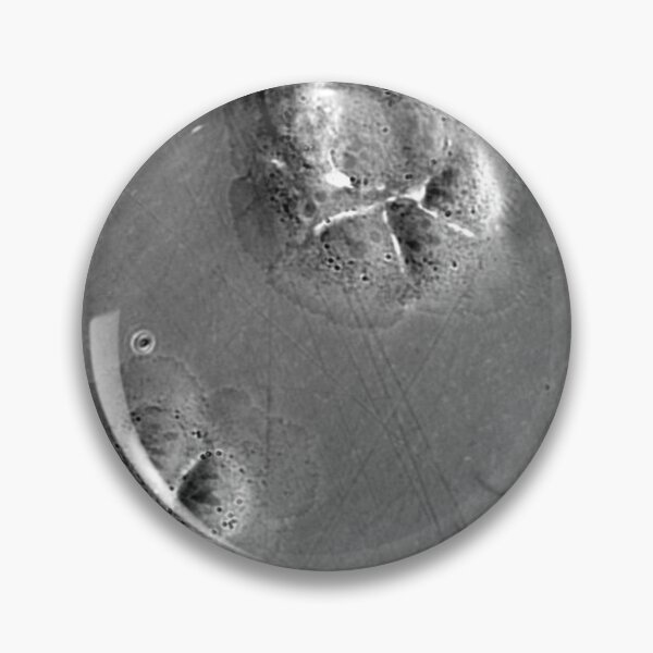 Item preview, When fashion meets technology: art and science micrographs of epithelial cells. Gray Circle designed and sold by ArtByScience.