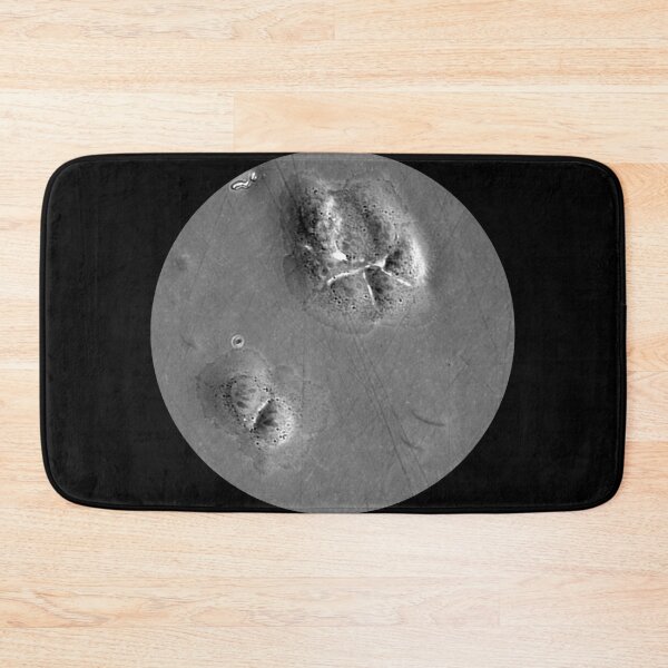 Item preview, When fashion meets technology: art and science micrographs of epithelial cells. Gray Circle designed and sold by ArtByScience.