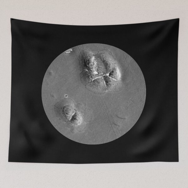 Item preview, When fashion meets technology: art and science micrographs of epithelial cells. Gray Circle designed and sold by ArtByScience.
