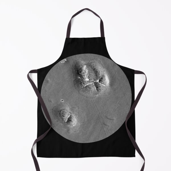 Item preview, When fashion meets technology: art and science micrographs of epithelial cells. Gray Circle designed and sold by ArtByScience.